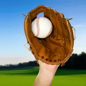 baseball softball insurance